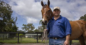 Centaur the Peoples choice award winner :: Racing Queensland