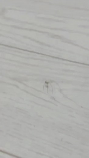 #videosgraciosos 🤪😝 #videosdivertidosdetiktok 👻🤣 #videosviralestiktok #videosdetiktok #historiasdetiktok