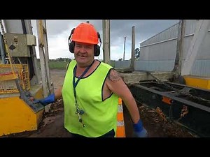 NZ Logging - Delivering a load in the truck