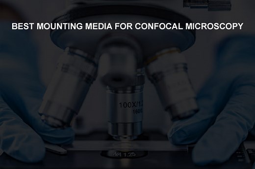 Best Mounting Medium for Confocal Microscopy? - 3DBiology.com