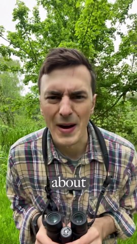 Connor Butler on Instagram: "Lesbian seagulls 🏳️‍🌈 Firstly, there’s no such thing as a seagull, just many species of gull, sorry ornithology friends. Secondly, the story is too complex and interesting to fit into a short reel. Such a high proportion of female pairs was probably due low number of males, likely due to DDT poisoning disproportionately affecting males. With the effects of DDT declining over the years, there have been fewer lesbian gulls on the colony. Lastly, if you want to learn 