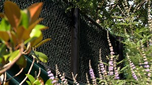 Elon Musk faces backlash over 16-foot fence around Austin suburb mansion