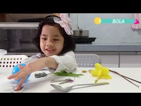 Prasekolah Sofea Eksperimen Sains Timbul atau Tenggelam