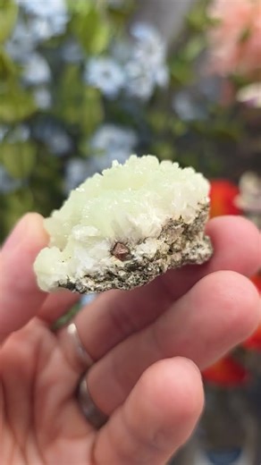 Light Green Prehnite Rock Specimen: Crystal Cluster #geology #rocks #crystals