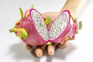 अपच और कब्ज की समस्या में फायदेमंद है यह फल, रोजाना सेवन से मिलेंगे कई लाभ