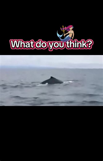 Look what was caught on camera 🧜🏼‍♀️🧜🏾‍♀️😳 #mermaids #viral #fyp #siren #alien