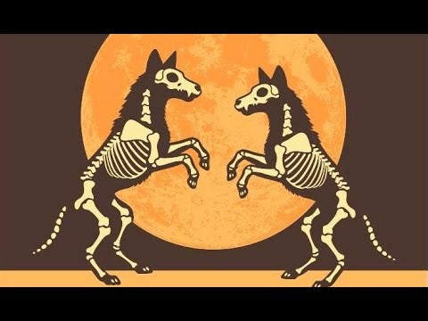 Coyote Rodeo - LIVE at One Stop / Asheville Music Hall 11-19-2025