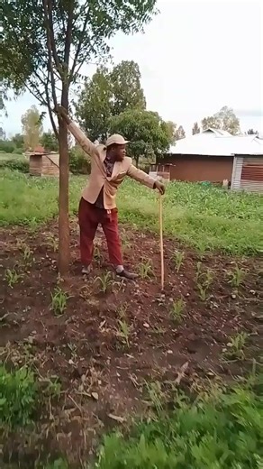 Janabi MCsamm (@janabi.mcsamm)’s videos with original sound - Janabi MCsamm