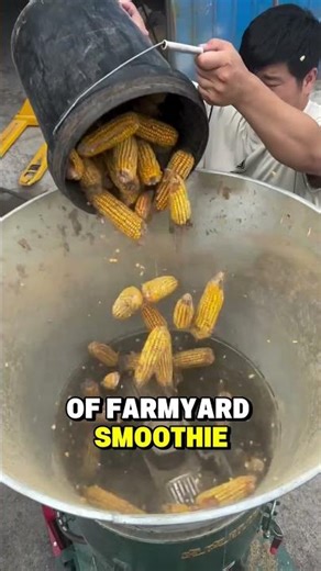 How Chicken Pellets Are Actually Made 🐔💀 (You Won’t Believe This)