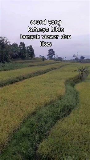 beautiful view and sound to add likes and viewer