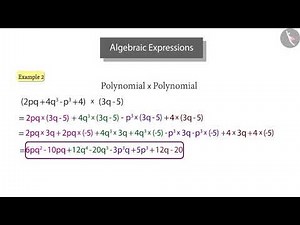 Multiplication of Algebraic Expressions-2 Video Lecture | Mathematics (Maths) Class 8