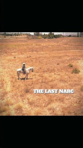 The Last Narc