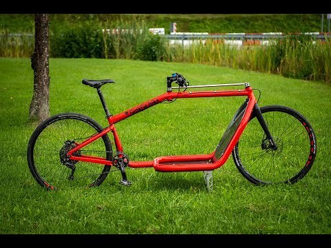 Kurztest: GinkGo Bike Lastenrad