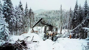 🌲🇨🇦 Greetings from Quebec, Canada! Groupe Val shows how their forestry operations are carried out in local Canadian forests and hear the comments of Josiane Dubois, 3rd generation logger at Forestier Y.D. #ponsse #logging #forestry | Ponsse Oyj
