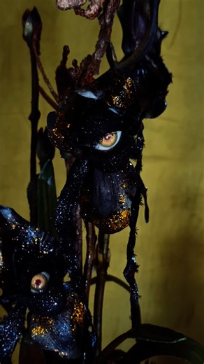 💀🎃👽 Dare to enter the Midnight Market—an otherworldly bazaar of shadowed stalls, whispered fortunes, and forbidden treasures. Magic fades with the sunrise… come before it vanishes.🧙🏼🪦 | Roger's Gardens
