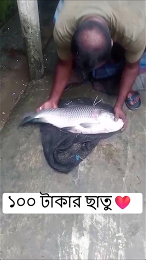 35K views · 753 reactions | বাইছে বাইছে ওমর ফারুক ভাইয়ের জন্য, পাঠাই দেছে ১০০ টাকার ছাতু ফর্মুলা✅ #কাতলা #১০০টাকারছাতু #viralreelschallenge #floatfishing #carpfishingbd #topwaterfishing #fishingvideos | Hook Fishing BD & Review | Facebook