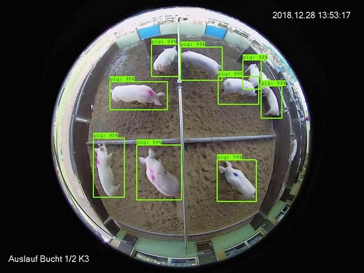 Boost Agriculture with AI: Computer Vision Insights