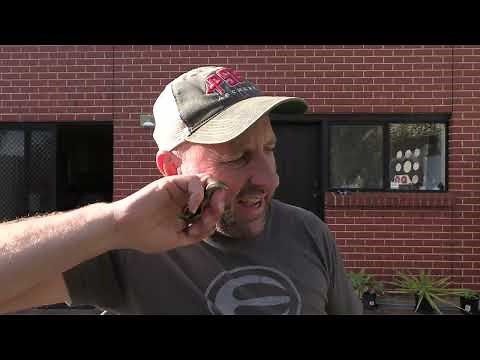 Ultraview Brass Hinge release review