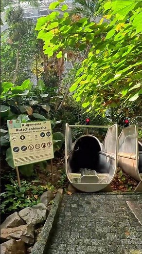 This Tropical Jungle Hides a Water Slide! 🌴💦 | Tropical Islands Germany | POV