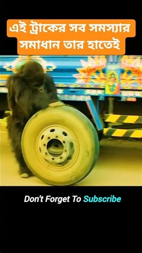 Super Gorilla Mechanic: This Truck Has All The Solutions To Its Problems | #shorts