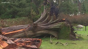 Deception Pass windstorm damage looms over camping season