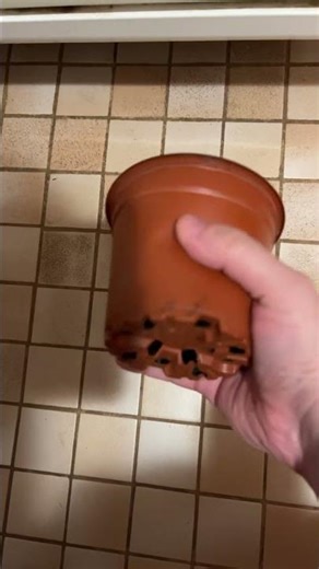 Gripping Stuff With Hand: Plastic Plant Pot