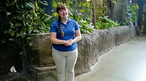 Happy International Sloth Day!🦥We are celebrating around the Aquarium with sloth storytimes and special enrichment during his training session at 2:30 pm! Sea you soon! | The Living Planet Aquarium