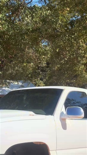 Exploring Old Clips of Squatted Trucks