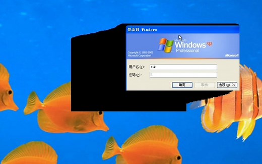 你一定没见过的注销界面，只需要删除winSXS就能做出来