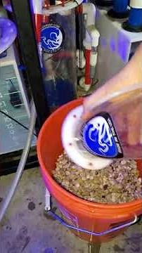 Cleaning The Calcium Reactor In 60 Seconds