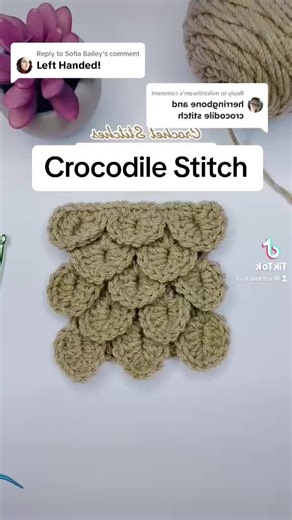 Replying to @Sofia Bailey How to Crochet the Crocodile Stitch Left Handed Part 1! #crochet #lefthanded #howtocrochet #crocodilestitch
