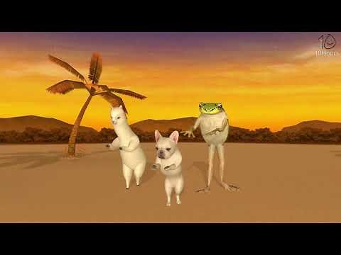 lama dog and frog dancing for 10 hours