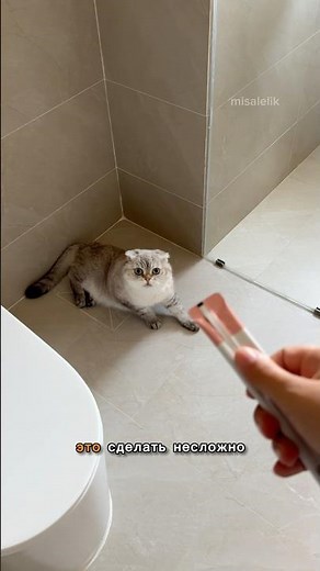 Whether Lelik likes it or not 🤔