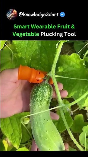 Smart Wearable Fruit & Vegetable Plucking Tool