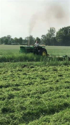 Freshly mowed hay #farm #farmland #hay #hayfield #farmer #farmlife