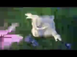 sample-mp4-file-small