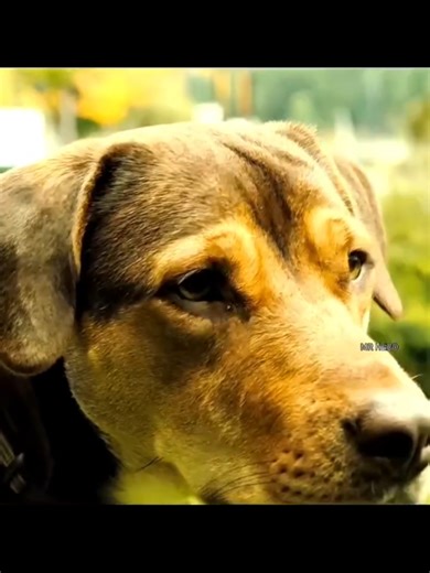 #explorepage✨️ #viralvideos #trendingnow #profileviews #contentcreator | Viral Vidoes On Tiktok