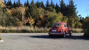 Trade Me Motors on Reels