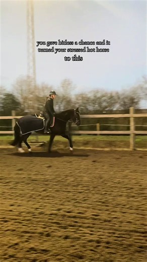 Transforming Stressed Horses with Bitless Bridles