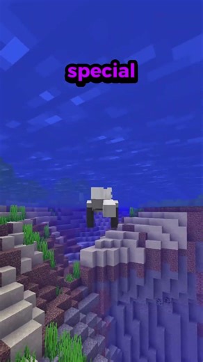 He could fit in a ONE block House...😂😉#minecraft #minecraftserver #smp #gaming