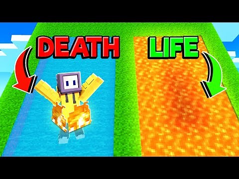 CHAPATI CHALLENGED ME TO COMPLETE WORLDS HARDEST MAP