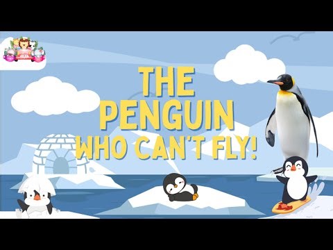 The Penguin Who Can’t Fly! | Animal Quest Kids