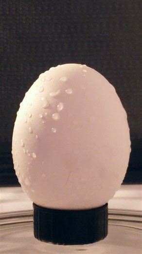 498K views · 13K reactions | Crazy egg experiments | NileRed | Facebook