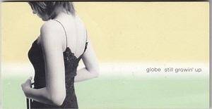 まだまだ成長期？ : DISCO-Rの棚卸し