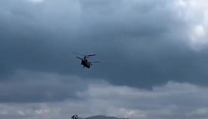 36K views · 495 reactions | MaxDefense Philippines on Reels | Facebook