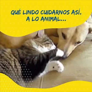 1.2K views · 34 reactions | Estamos en tiempos extraños, ya lo...