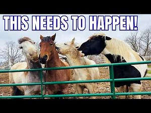 We Are Making Changes to the Herd…
