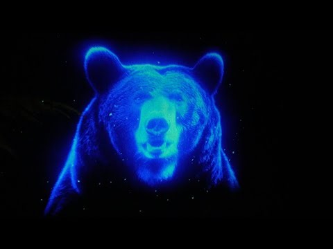 Canyon Lights "Wildlight" 3D Projection