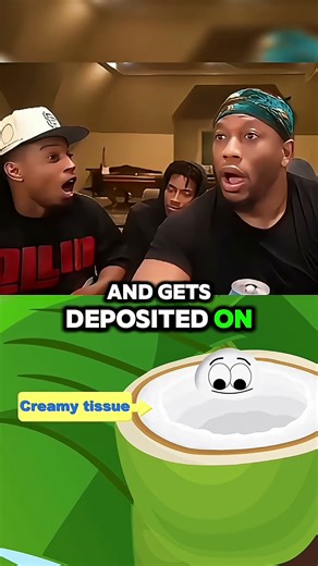 How Does Water Get Inside a Coconut? #fypシ #fypシ゚viral