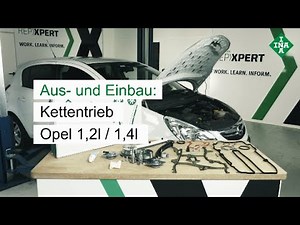 Reparatur mit dem INA Steuerketten KIT